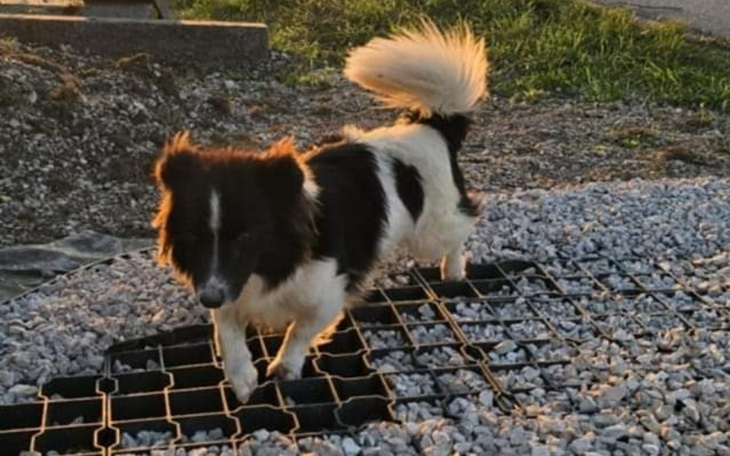 Zbiórka Transport po lepsze zycie - zdjęcie główne