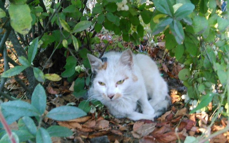 Zbiórka Nie pozwól nam marznąć zimą - zdjęcie główne