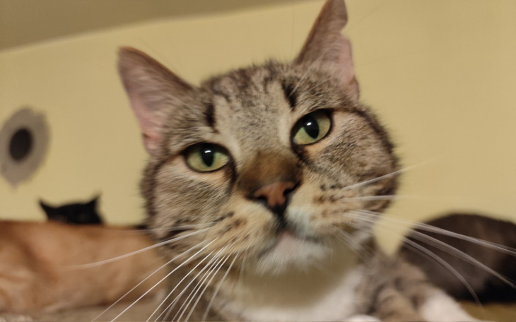 Zbiórka Energia 29.07 - 27.09 2024 - zdjęcie główne