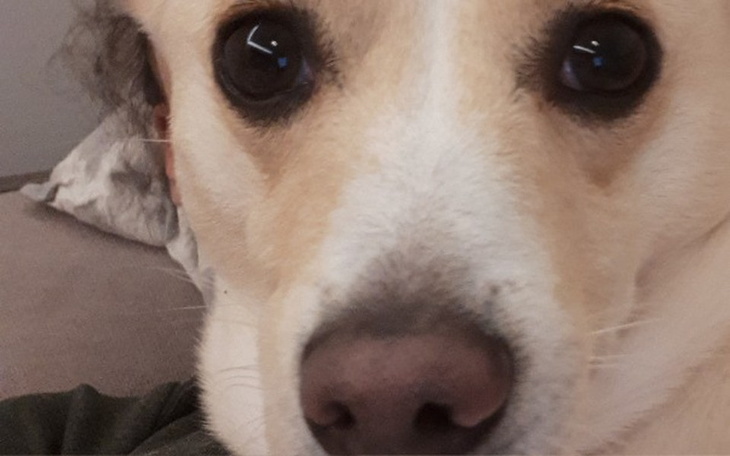 Zbiórka Na przyjemności - zdjęcie główne