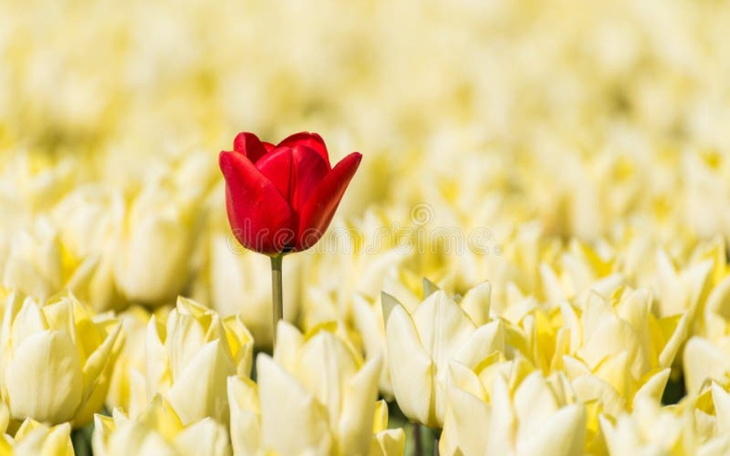 Zbiórka Środki na jedzenie - zdjęcie główne