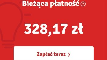 Zbiórka Prąd dla Bezdomniaków - miniaturka zdjęcia