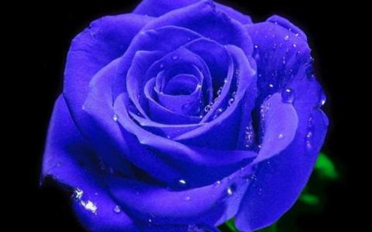 Zbiórka Mieszkanie+koszty leczenia - zdjęcie główne