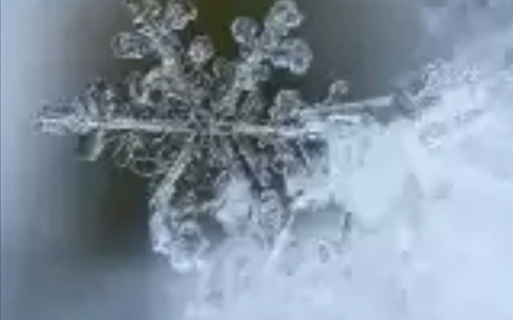 Zbiórka Zimowa pomoc! - zdjęcie główne