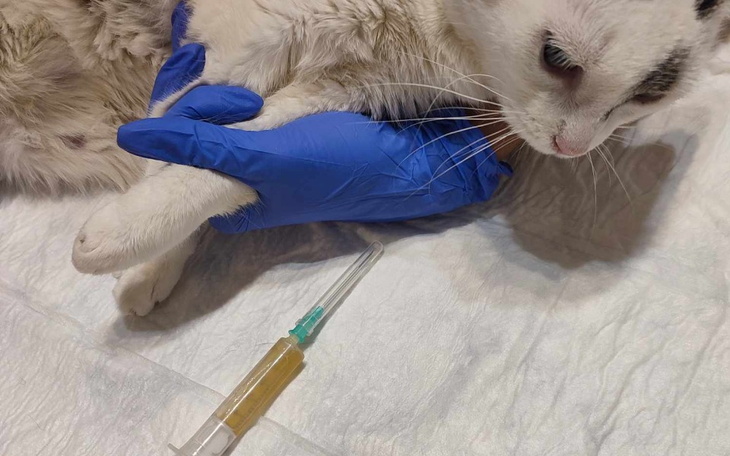 Zbiórka Śmierć przyszła po Kalinkę - zdjęcie główne