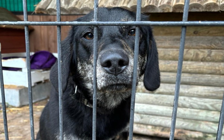 Zbiórka Jedź po lepsze życie. - zdjęcie główne