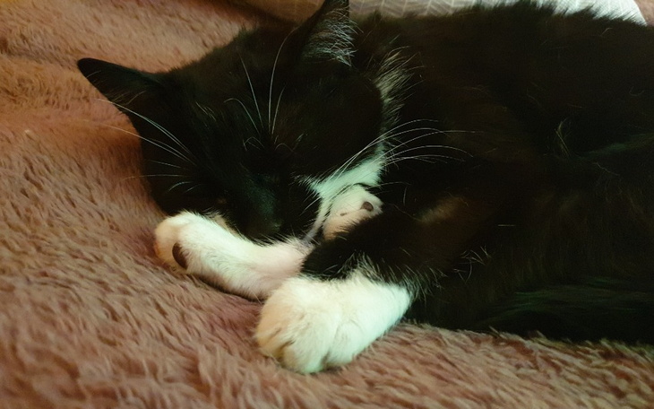 Zbiórka Zabierz mnie śmierciII - zdjęcie główne