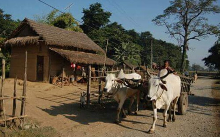 Zbiórka Nepal - pomoc dla południa - zdjęcie główne