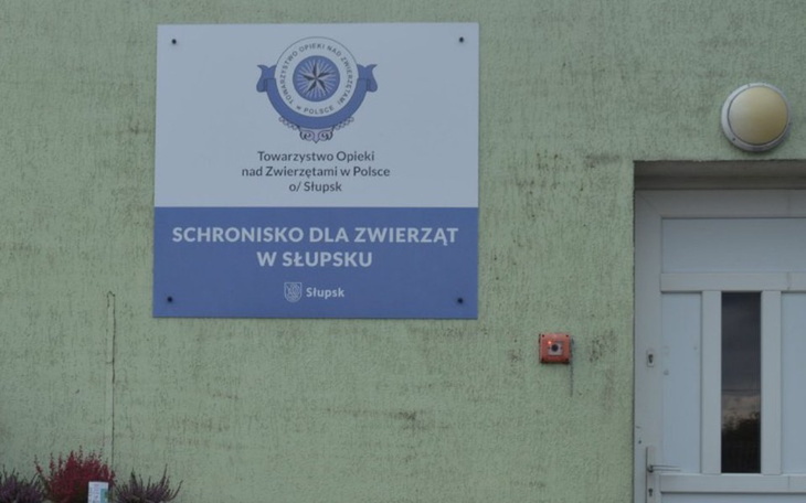 Zbiórka Na cztery łapy - zdjęcie główne