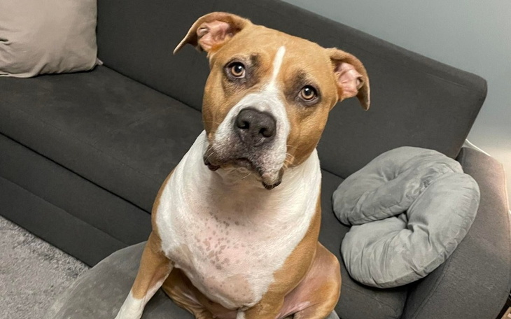 Zbiórka Walczymy z nowotworem Czaczusi - zdjęcie główne