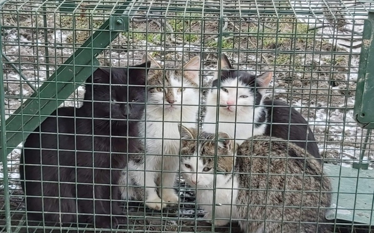 Zbiórka Walczymy z bezdomnością - zdjęcie główne