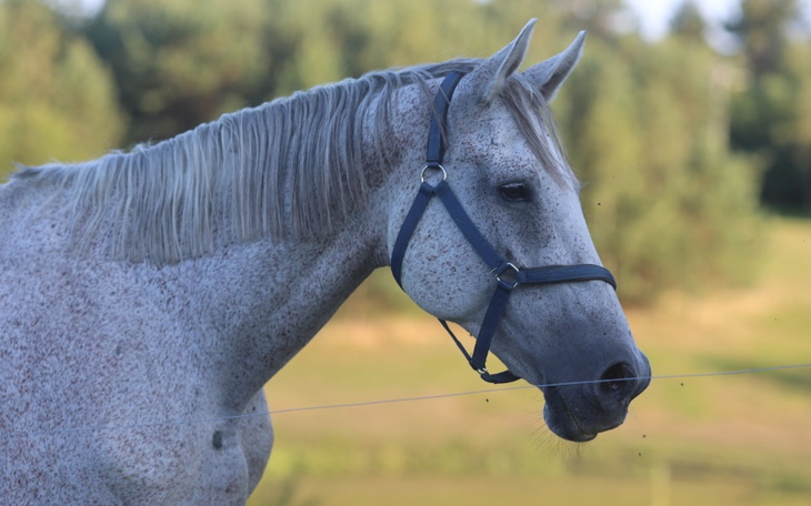 Zbiórka Pomóżmy jej złapać oddech - zdjęcie główne