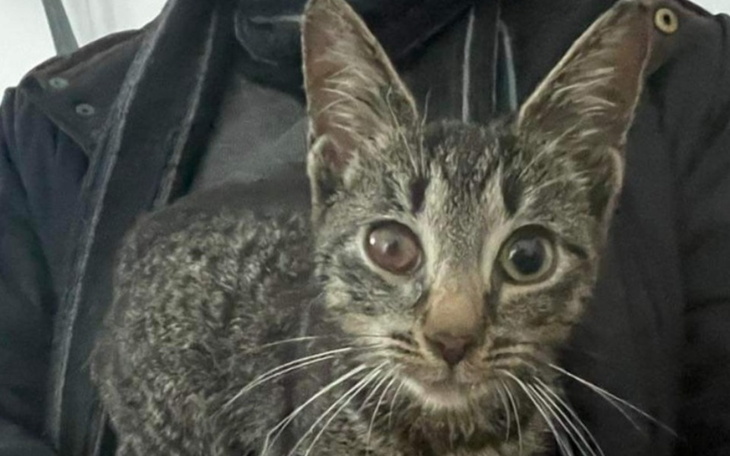 Zbiórka Podaruj zdrowie Nenusiowi - zdjęcie główne