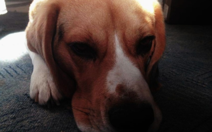 Zbiórka Walka z czasem Rika - zdjęcie główne