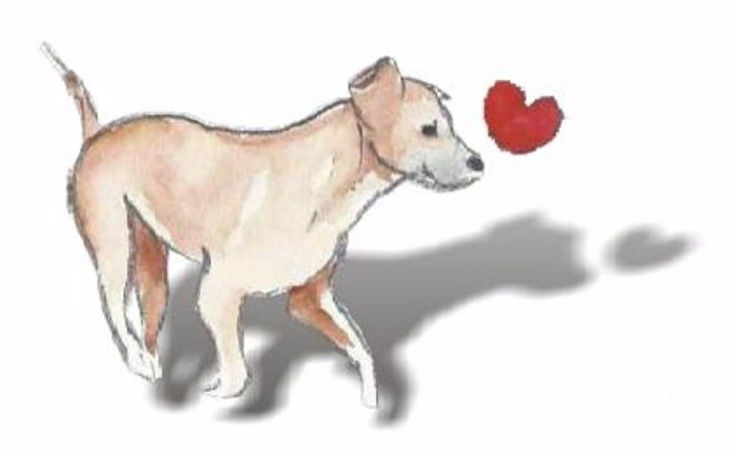 Zbiórka Fundacja Psom - zdjęcie główne