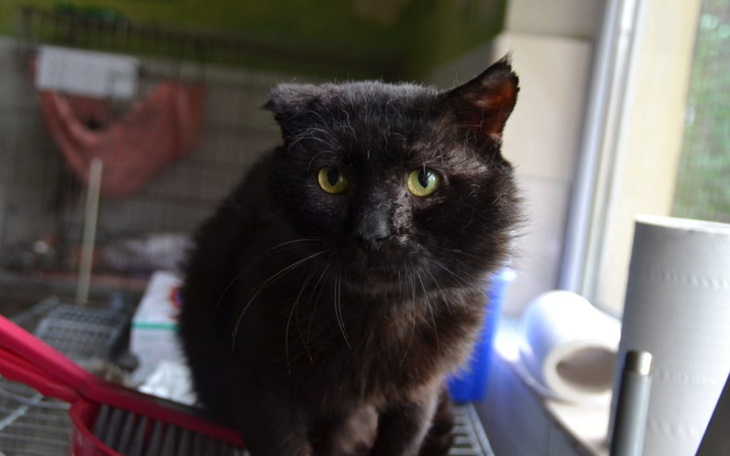 Zbiórka Dla Kazika - zdjęcie główne