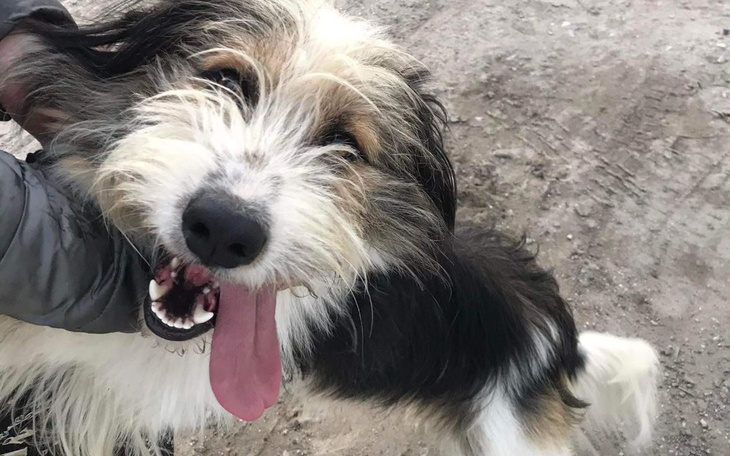 Zbiórka Zacznę nowe życie - zdjęcie główne