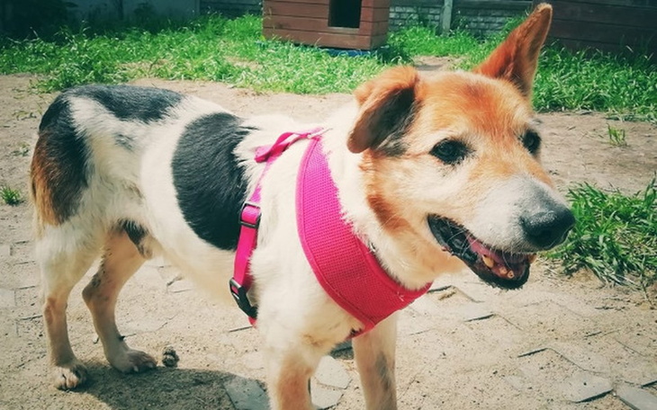 Zbiórka Stary więc niepotrzebny - zdjęcie główne