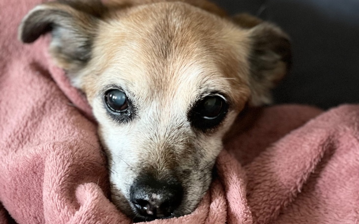 Zbiórka Nowotwór zabiera mi Przyjaciela - zdjęcie główne