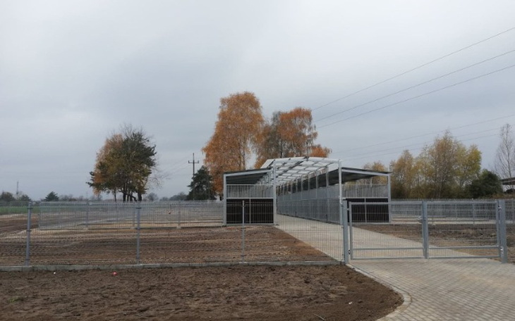 Zbiórka Schronisko dla zwierząt-Rawicz - zdjęcie główne