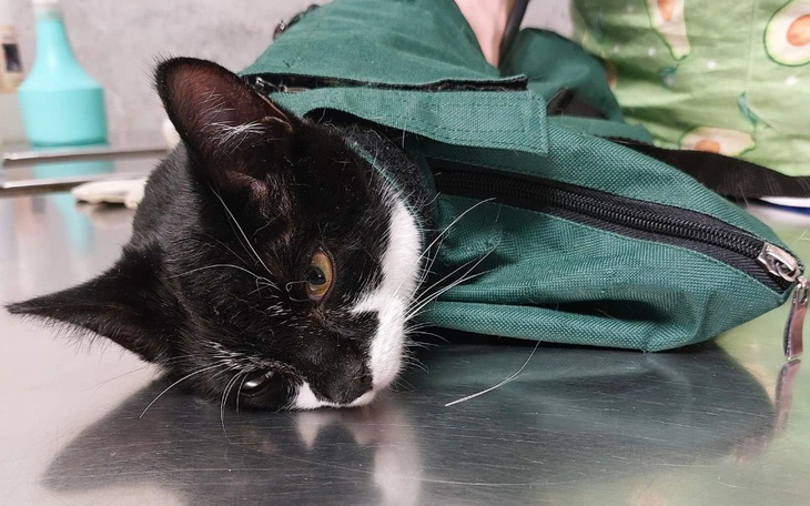 Zbiórka Szmery na sercu u Marysi - zdjęcie główne