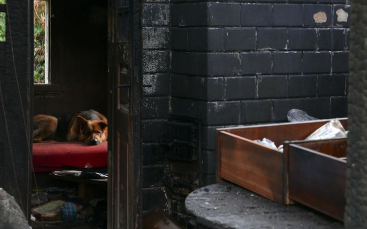 Zbiórka Dajmy Dużemu szansę! - zdjęcie główne