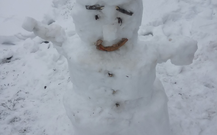 Zbiórka Na leczenie pieska,., - zdjęcie główne