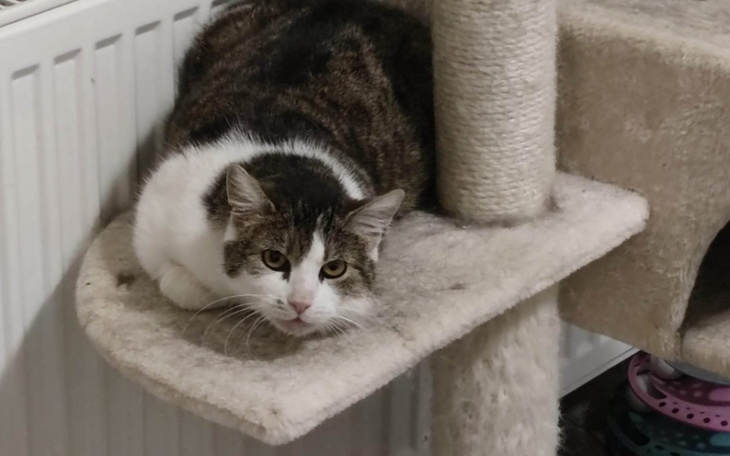 Zbiórka Na przetrwanie czerwca - zdjęcie główne