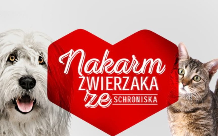 Zbiórka zbiurka na shronisko - zdjęcie główne