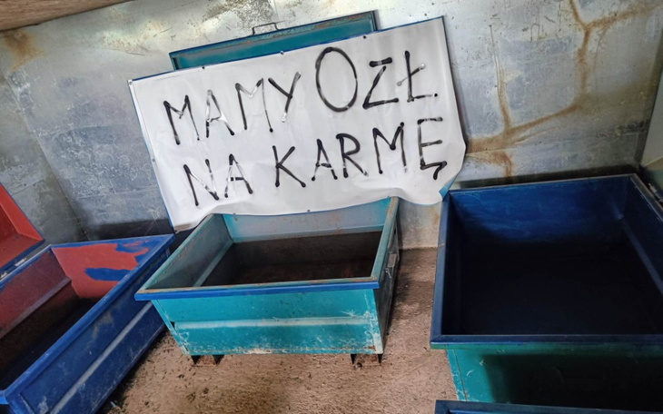 Zbiórka Żeby nie były głodne - zdjęcie główne