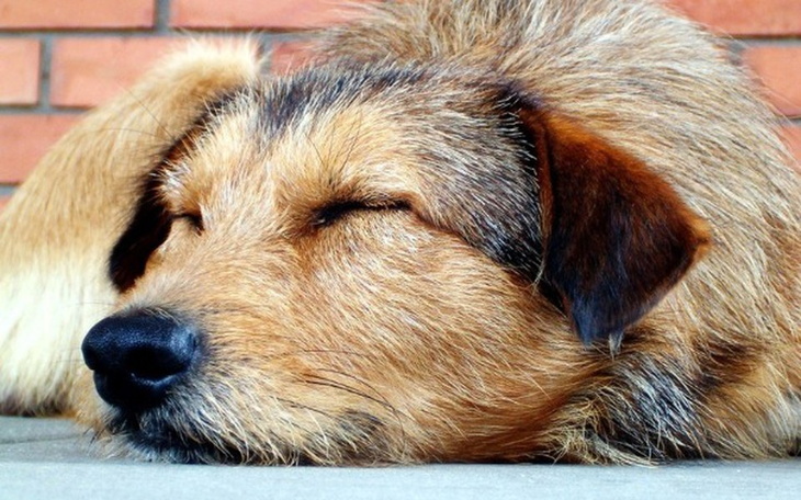 Zbiórka Pokochaj mnie jeszcze raz - zdjęcie główne