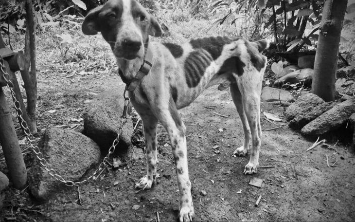 Zbiórka Właśnie pożegnaliśmy Sagipa - zdjęcie główne