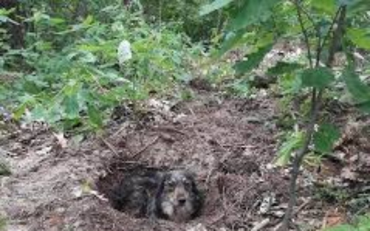 Zbiórka Chcą żyć one i ziemia - zdjęcie główne
