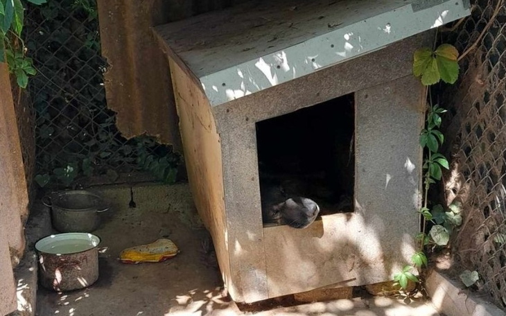 Schronienie dla psa w ogrodzie, z widocznymi naczyniami na wodę.