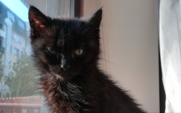 Zbiórka JACEK CHCE ŻYĆ Potrzebny lek - zdjęcie główne