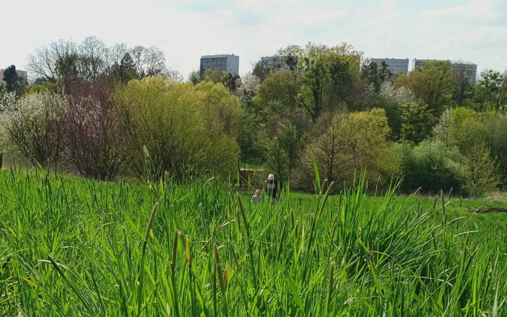 Zbiórka JURTA całoroczna - zdjęcie główne