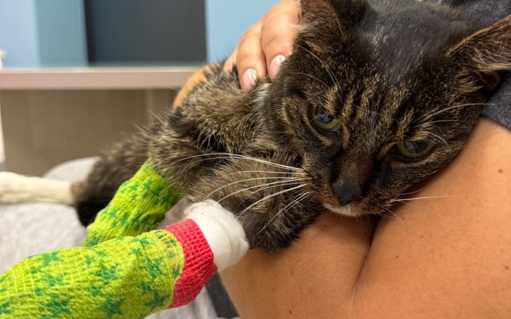 Zbiórka Na leczenie Olusia - zdjęcie główne