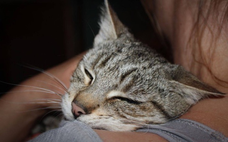 Zbiórka Leczenie Kajetana - zdjęcie główne