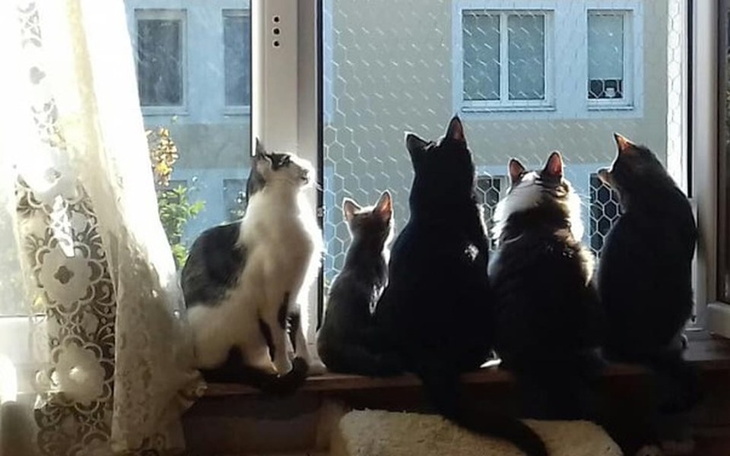 Zbiórka Bardzo proszę o chwilę uwagi :( - zdjęcie główne