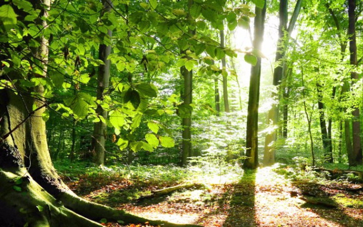 Zbiórka https//auth.bitbay.net/ref/2106 - zdjęcie główne