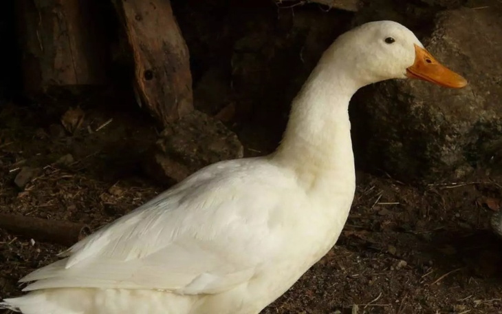 Zbiórka .Na spełnianie marzeń - zdjęcie główne