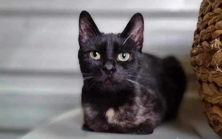 Zbiórka Zostało coraz mniej czasu.. - zdjęcie główne