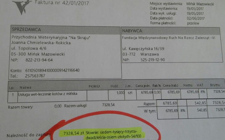 Zbiórka RATUNKU-mińskie koty błagają! - zdjęcie główne