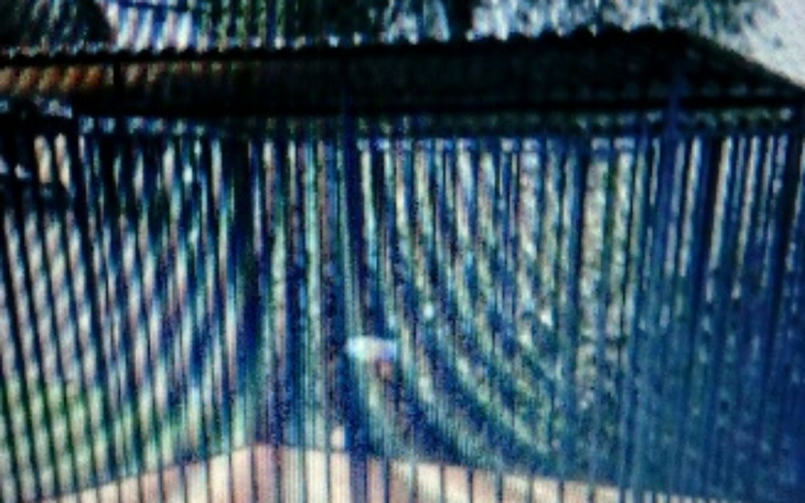 Zbiórka dla członka rodziny - zdjęcie główne