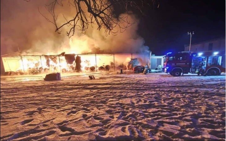 Zbiórka Na słomę siano i owies - zdjęcie główne