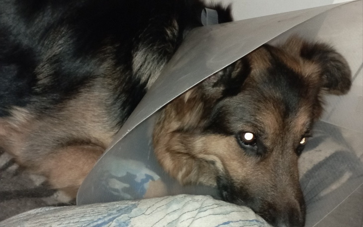 Zbiórka Prosimy o pomoc nie bądź obojętn - zdjęcie główne