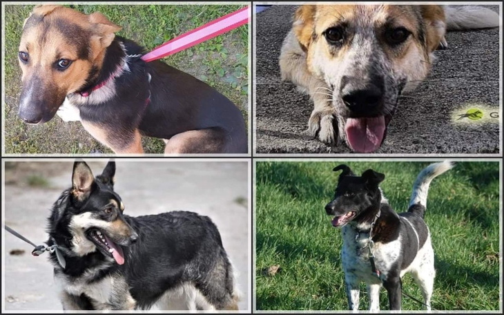 Zbiórka Nie odwracajmy się od nich - zdjęcie główne