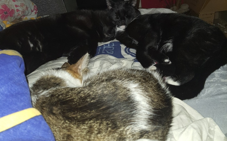 Zbiórka Na 40te urodziny - zdjęcie główne