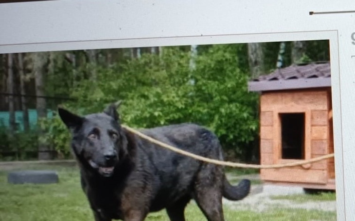 Zbiórka Weteran Wojtyszek prosi o pomoc - zdjęcie główne