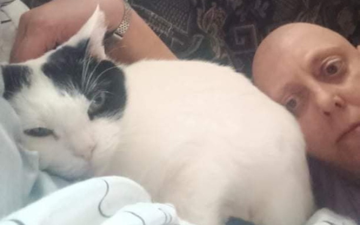 Zbiórka Gdy w życie wkrada się rak - zdjęcie główne